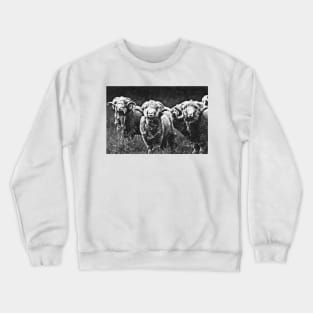 Rams Crewneck Sweatshirt